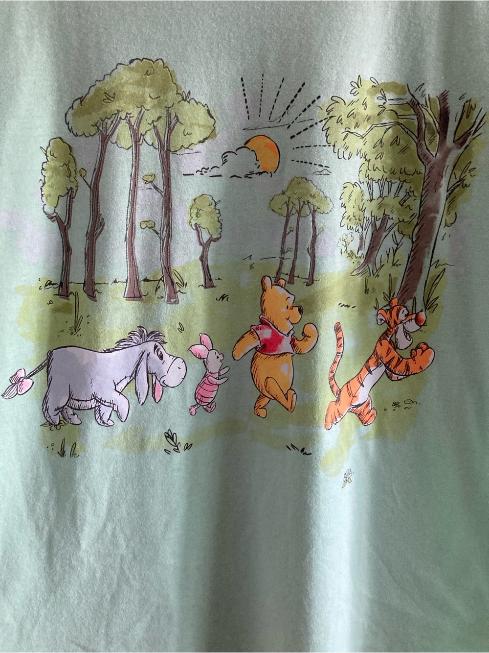Disney Mint Green Winnie the Pooh Friends Graphic Tee - Picture 2 of 6